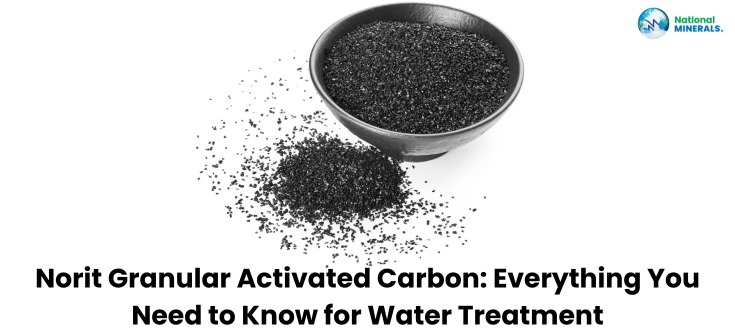 Manufacturer and Supplier of Norit Granular Activated Carbon.