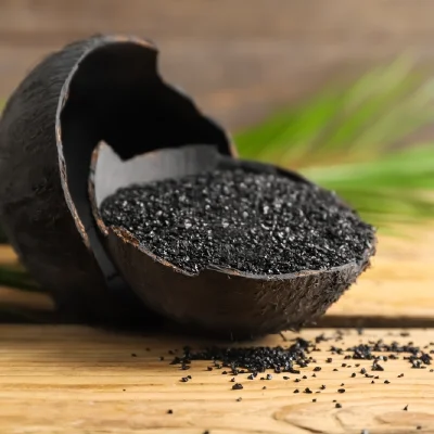 Coconut Shell Activated Carbon In India