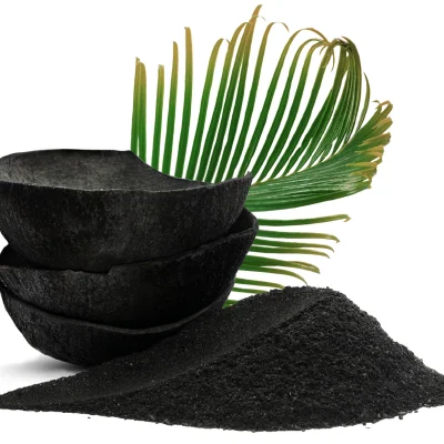 Coconut Shell Activated Carbon Manufacturer In India
